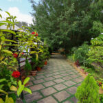 Luxurious Premium Tents Wai Near Panchgani Mahableshwar