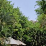 Royal Tents Stay Wai Near Panchgani Mahableshwar